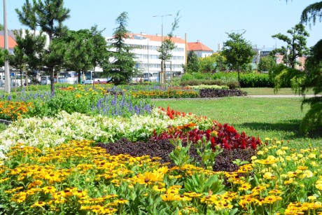 Virágos Magyarország - Székesfehérvár lett az Év települése a régióban